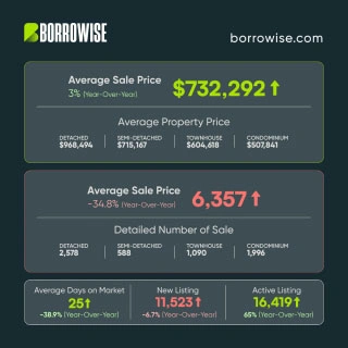 Market_Report-1